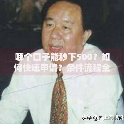 哪个口子能秒下500？如何快速申请？条件流程全解析！