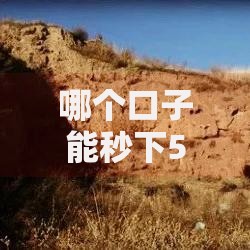 哪个口子能秒下500？如何快速申请？条件流程全解析！