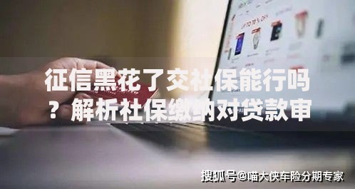 征信黑花了交社保能行吗？解析社保缴纳对贷款审批影响