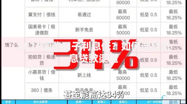 2025哪些口子利息低？如何选择低息贷款渠道