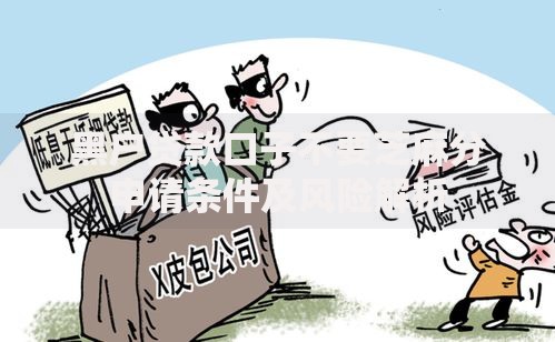 黑户贷款口子不要芝麻分申请条件及风险解析