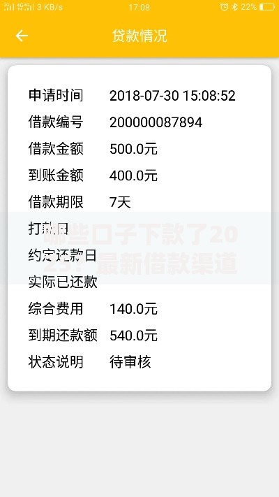 哪些口子下款了2025？最新借款渠道及申请攻略解析