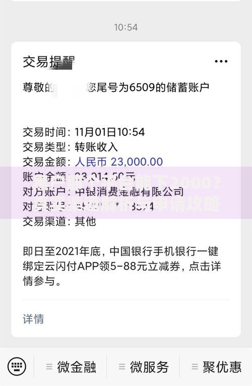 黑户那个平台能下2000？真实渠道解析与申请攻略