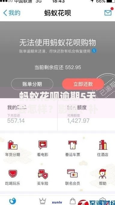 蚂蚁花呗逾期5天会怎样？影响、补救措施及注意事项