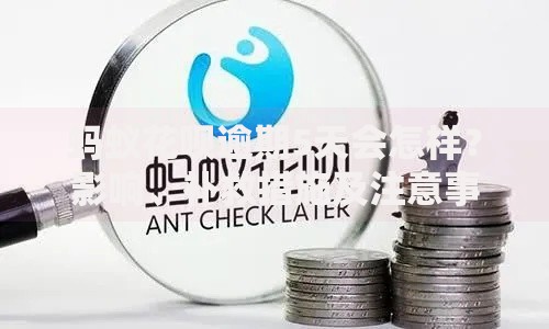 蚂蚁花呗逾期5天会怎样？影响、补救措施及注意事项