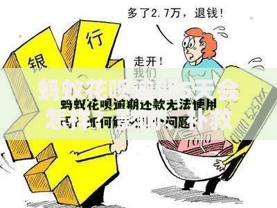 蚂蚁花呗逾期5天会怎样？影响、补救措施及注意事项