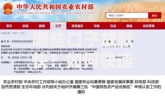 哪些口子放款快？如何快速获取资金