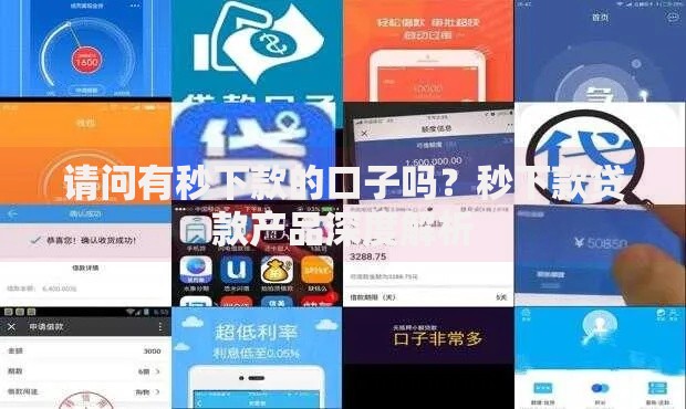 请问有秒下款的口子吗?秒下款贷款产品深度解析 请问有秒下款的口子吗?秒下款贷款产品深度解析