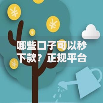 哪些口子可以秒下款？正规平台申请流程及注意事项解析