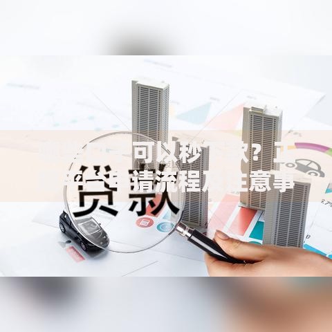 哪些口子可以秒下款？正规平台申请流程及注意事项解析