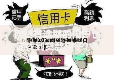 网贷有逾期的用户也能找到贷款口子？5类渠道深度解析