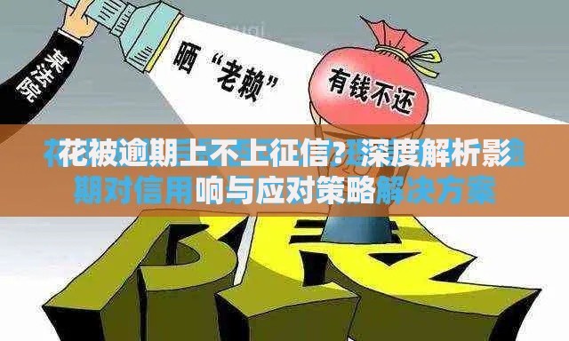 花被逾期上不上征信?深度解析影响与应对策略 花被逾期上不上征信?深度解析影响与应对策略