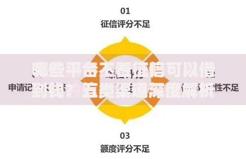 哪些平台不看征信可以借到钱？五类渠道深度解析