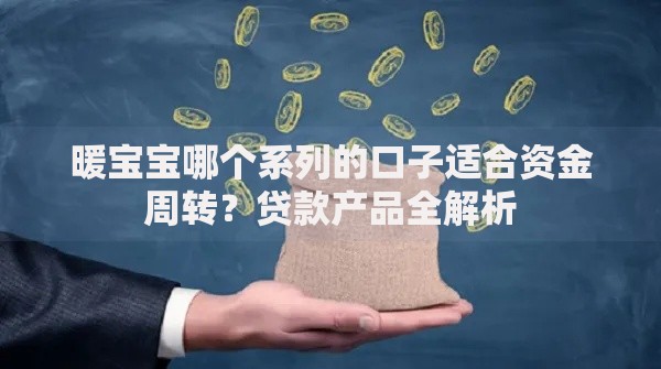 暖宝宝哪个系列的口子适合资金周转？贷款产品全解析