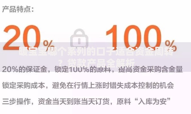 暖宝宝哪个系列的口子适合资金周转？贷款产品全解析