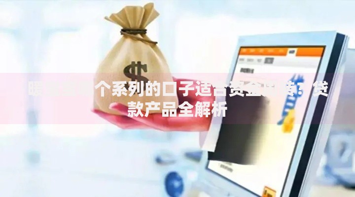 暖宝宝哪个系列的口子适合资金周转？贷款产品全解析