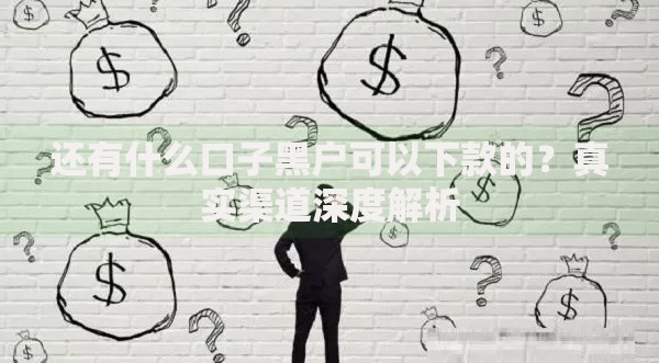 还有什么口子黑户可以下款的？真实渠道深度解析