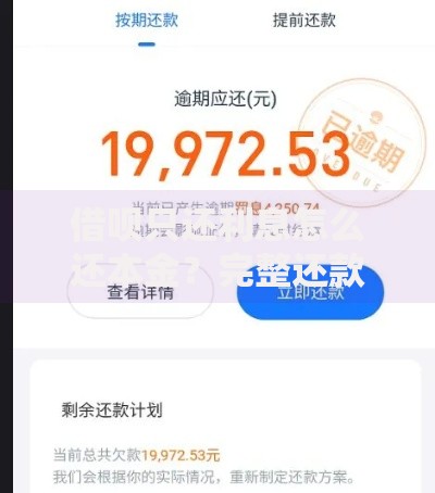 借呗只还利息怎么还本金？完整还款方案解析