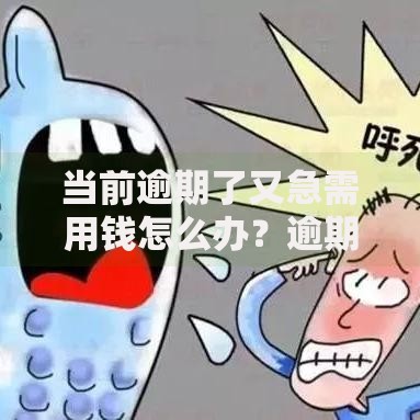 当前逾期了又急需用钱怎么办？逾期贷款解决全攻略