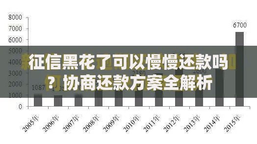 征信黑花了可以慢慢还款吗？协商还款方案全解析