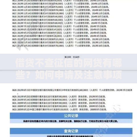 借贷不查征信的网贷有哪些？如何申请及注意事项解析