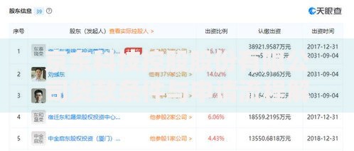 京东科技控股股份有限公司贷款条件与申请流程解析