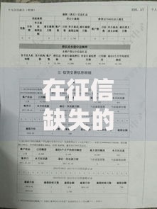 在征信缺失的情况下如何成功申请贷款?全面解析可行方案 在征信缺失的情况下如何成功申请贷款?全面解析可行方案