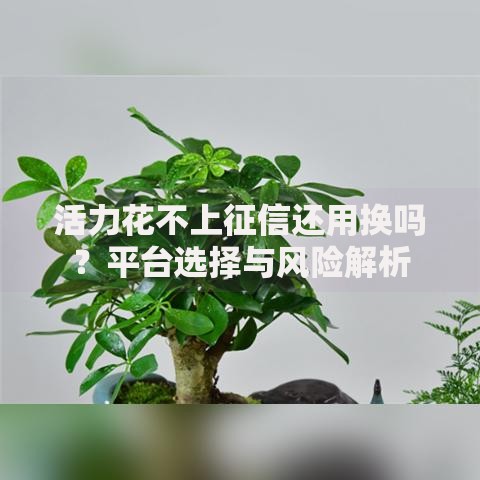 活力花不上征信还用换吗？平台选择与风险解析