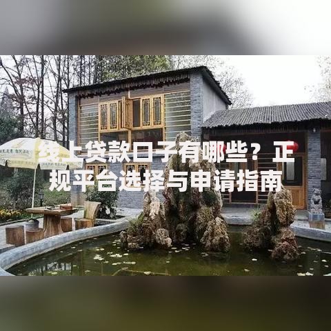 线上贷款口子有哪些？正规平台选择与申请指南