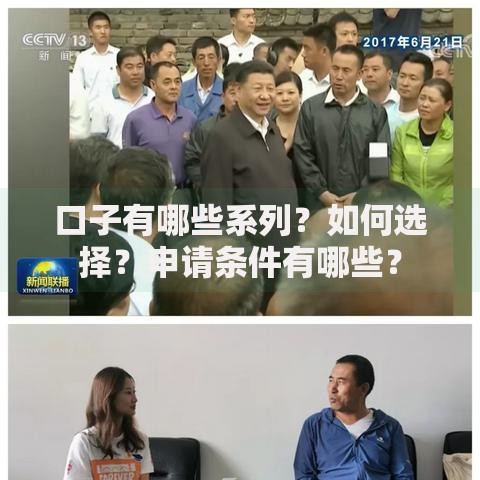 口子有哪些系列？如何选择？申请条件有哪些？