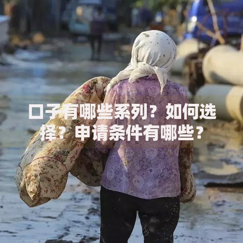 口子有哪些系列？如何选择？申请条件有哪些？