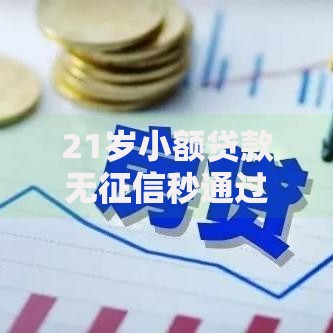 21岁小额贷款无征信秒通过?申请条件与流程全解析 21岁小额贷款无征信秒通过?申请条件与流程全解析