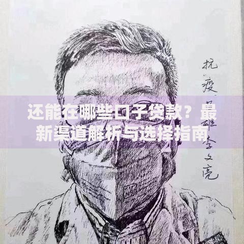 还能在哪些口子贷款?最新渠道解析与选择指南 还能在哪些口子贷款?最新渠道解析与选择指南