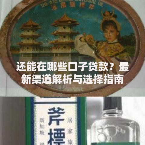 还能在哪些口子贷款?最新渠道解析与选择指南 还能在哪些口子贷款?最新渠道解析与选择指南