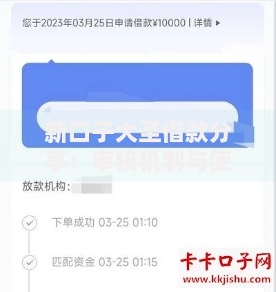 新口子大圣借款分享：审核机制与使用全流程深度解析