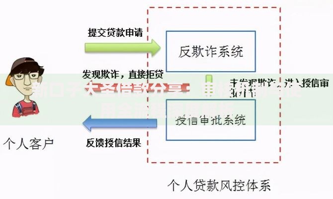 新口子大圣借款分享：审核机制与使用全流程深度解析