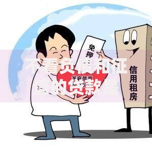 不看负债和征信的贷款是真的吗？风险与真相全解析