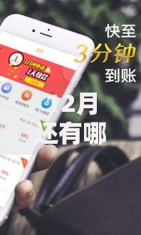 12月还有哪些口子出款？最新贷款平台解析与申请攻略