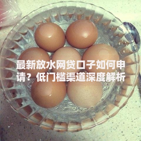 最新放水网贷口子如何申请？低门槛渠道深度解析