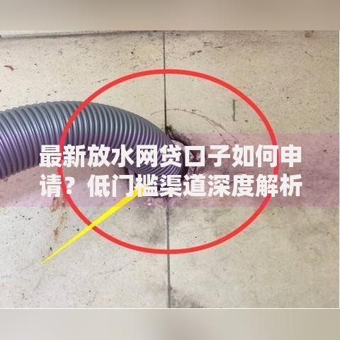最新放水网贷口子如何申请？低门槛渠道深度解析