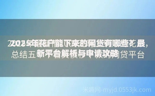 2025年花户能下来的网贷有哪些？最新平台解析与申请攻略