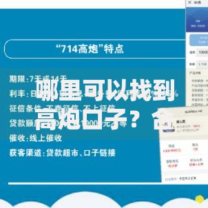 哪里可以找到高炮口子？合法渠道与风险防范指南