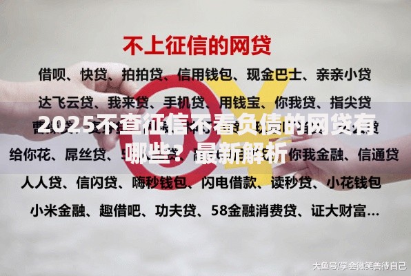 2025不查征信不看负债的网贷有哪些？最新解析
