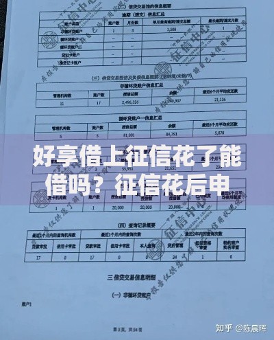 好享借上征信花了能借吗？征信花后申请贷款全解析