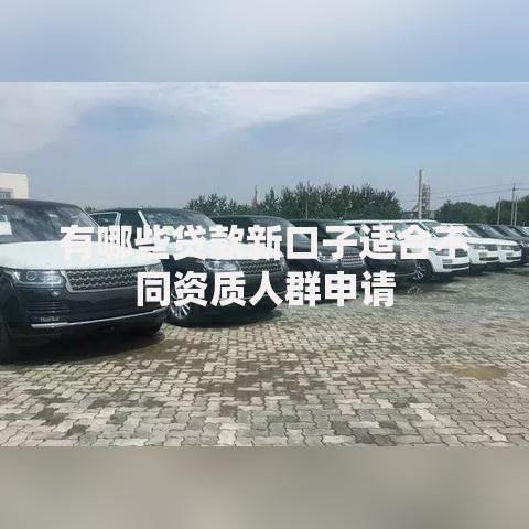 有哪些贷款新口子适合不同资质人群申请