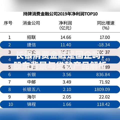 长银消费金融是国企吗？股东背景与贷款产品解析