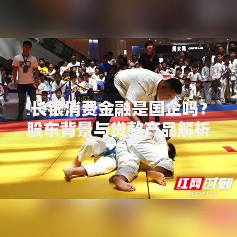 长银消费金融是国企吗？股东背景与贷款产品解析