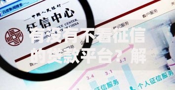有没有不看征信的贷款平台？解析正规渠道与风险提示