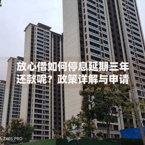 放心借如何停息延期三年还款呢？政策详解与申请指南