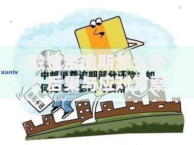 融金宝逾期怎么办？后果与应对方案全解析